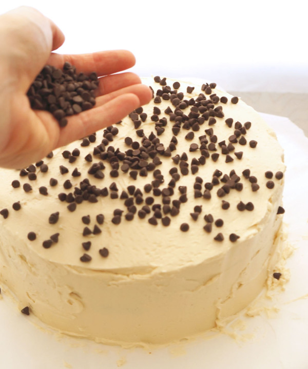 Chocolate chip covered cake