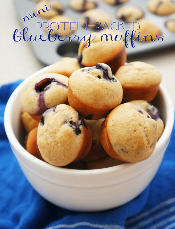 Mini Protein Blue Berry Muffins