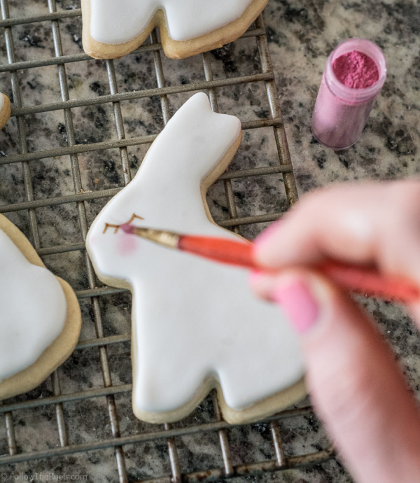 Easter Bunny Cookies-5