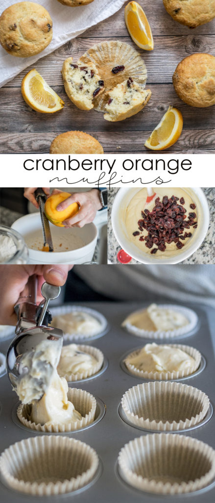 Cranberry Orange Muffins | Follow the Ruels