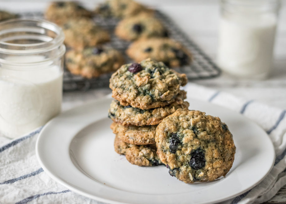 Blueberry Oatmeal Cookies